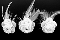 Шпильки "Белые розы"