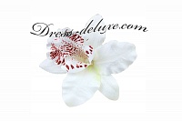 Орхидея на клипсе-заколка. Цвет белый-бежевый.